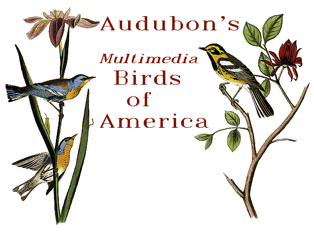 http://www.abirdshome.com/Audubon/cover.gif