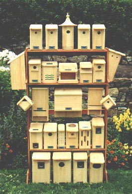 Birdhouse Display Package