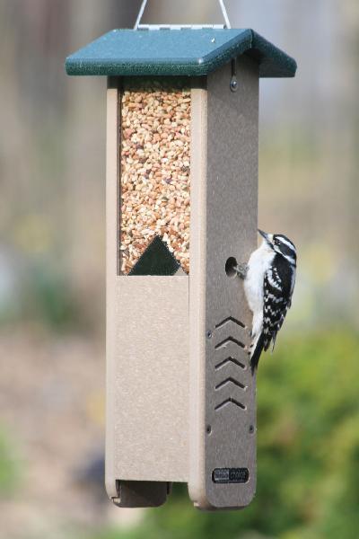 Bird's Choice Recycled Woodpecker Feeder