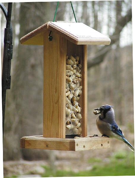 Bird's Choice Bluejay Feeder w/Hanging Cable