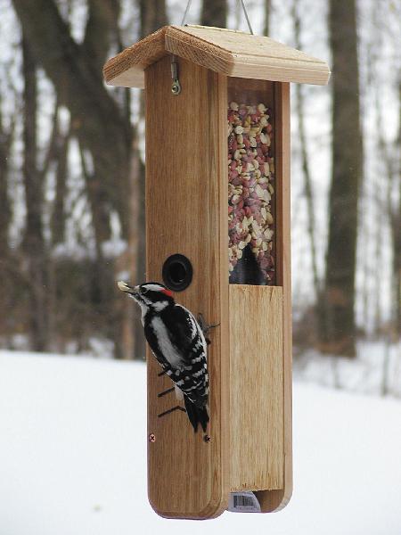 Bird's Choice Woodpecker Feeder w/Hanging Cable