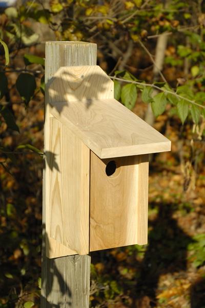 Heartwood Western Bluebird Joy Box Birdhouse