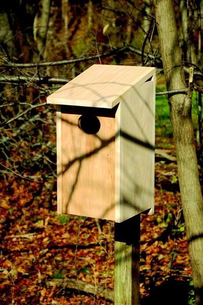 Heartwood Wood Duck Joy Box Birdhouse