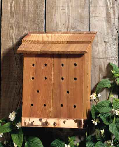 Lazy Hill Farm Designs Bee Box