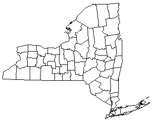 Clickable Map of NY